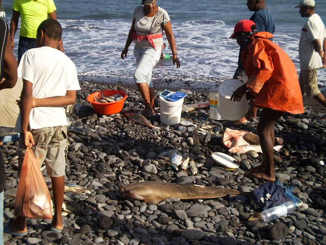 Fresh fish sale at the beach.