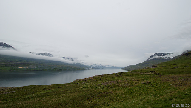 Blick auf Reyðarfjörður und Eskifjörður  (© Buelipix)