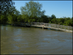 high water at Medley footbridge