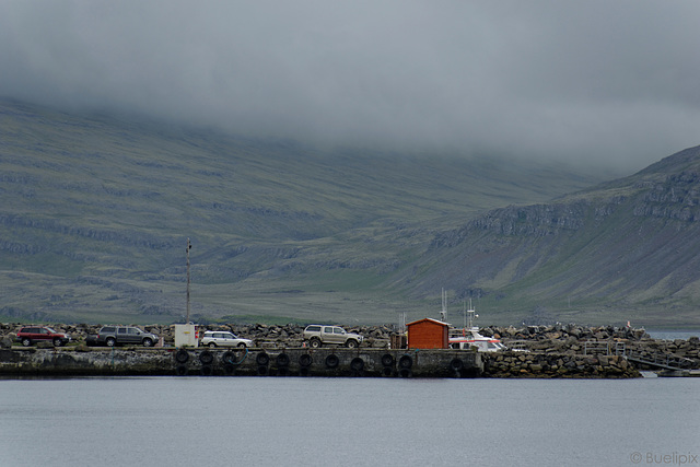 in der Bucht von Breiðdalsvík (© Buelipix)