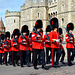 England 2016 – Windsor – Soldiers