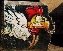Scared rooster.