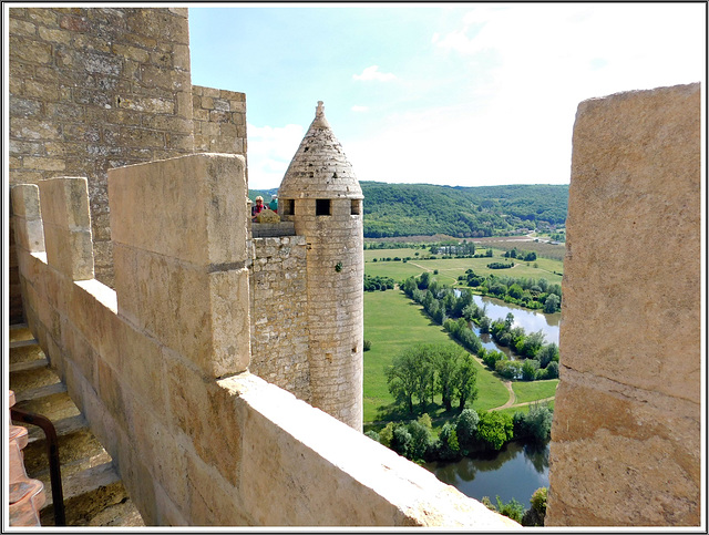 Vue depuis le château de Beynac (24)