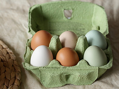 Farbenfrohe Eier