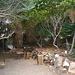 Israel, Eilat, Small Lounge in the Botanical Garden