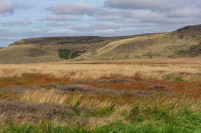 The colours of the Moorland