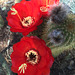 Cactus Flowers (0801)