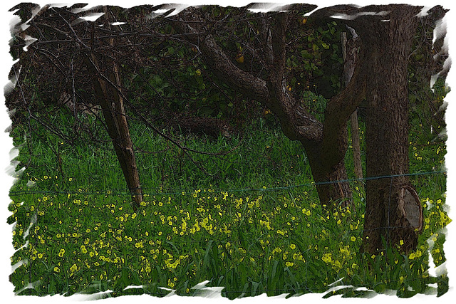 Spring painterly view