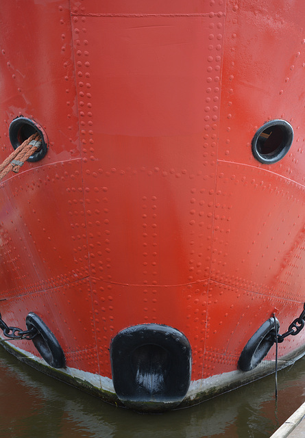 Habitat Hamburger Hafen: Der seltene Feuerschiff-Karpfen