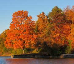Fall at Herrick Lake