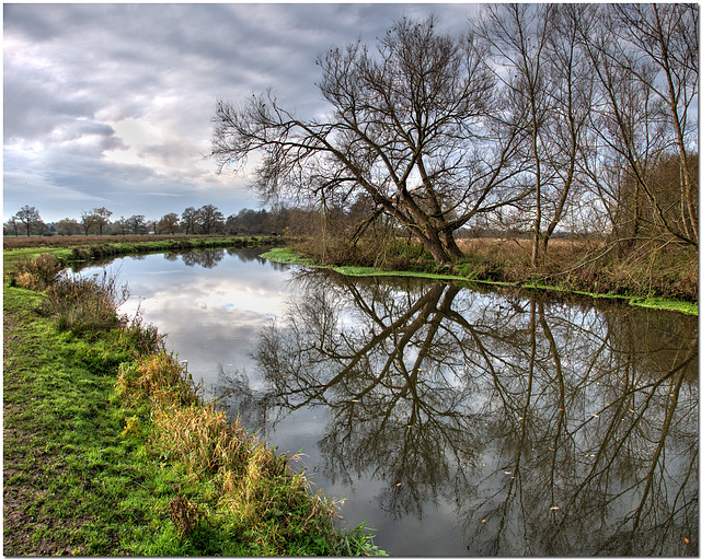 The River Wey Navigation at Send