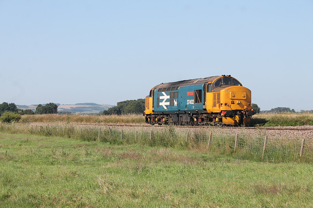 DRS  BR large logo blue 37402 STEPHEN MIDDLEMORE 23.12.1954 - 8.6.2013 at Willerby Carr Crossing running as 0Z77 York parcels sidings - York parcels sidings 16th July 2021.