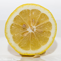 Lemon Slice 062216-001