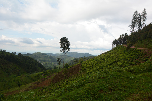 Uganda, Rural Mountain Landscape