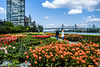 United Nations Headquarters - gardens - 1986