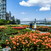United Nations Headquarters - gardens - 1986