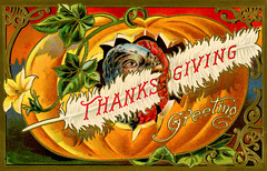 Thanksgiving Greeting—Turkey in a Pumpkin