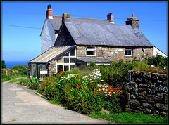 Cornish farmhouse (and of course Cornish cream teas and b&b)