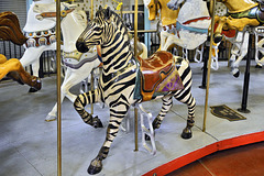 Zebra – Looff Carousel, Eldridge Park, Elmira, New York