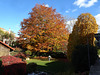 Vergoldeter Herbsttag in Cossonay