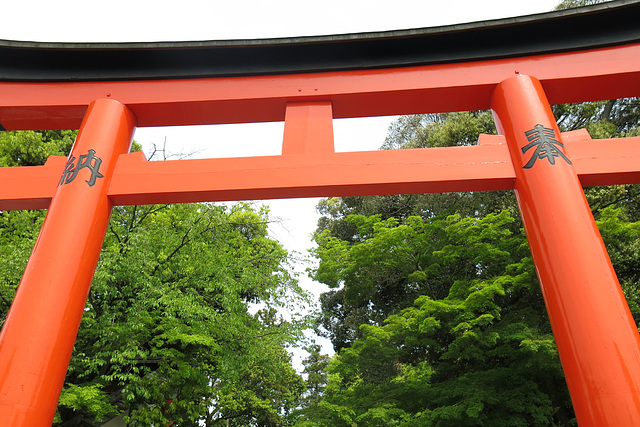 Un des 30 000 torii du sanctuaire de Fushimi Inari (temple shinto), Kyoto (Kansai, Japon)