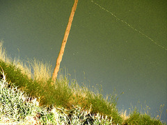 Pole reflection