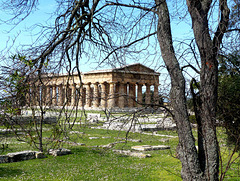Paestum - Hera II