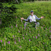 Platanthera psycodes (Small Purple Fringed orchid) -- Jim Fowler amidst dozens of orchids!
