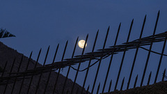 moon behind the fence