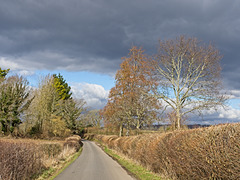 Countryside Road