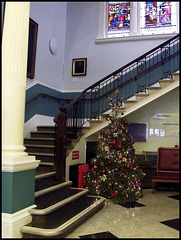 hospital Christmas tree