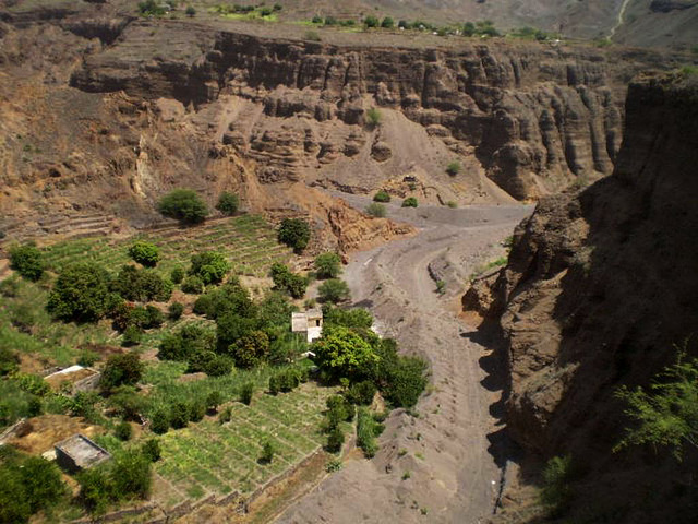 Agriculture in the canyon.