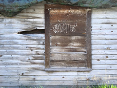 Shed with script