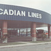 Acadian Lines 919 at Sydney (Nova Scotia) - 8 Sep 1992 (Ref 176-05)