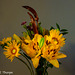 Oriental Lily and Okra Arrangement Artistic 092816-001