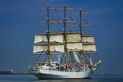 Segelschulschiff Dar MIodziezy