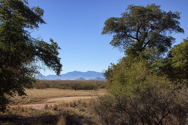The Huachuca Mountains & Tombstone Hills