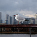 Greenwich Seagull