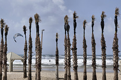 A Lone Windsurfer – Trumpledor Beach, Tel Aviv, Israel