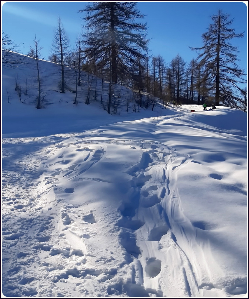 Il Covid ha desertificato anche la montagna - il 'virus' non teme il freddo e la neve, ma neppure l'inquinamento !