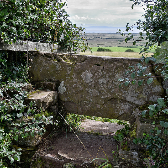 A stile made to last