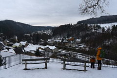 View over the fence from Scharfenstein castle