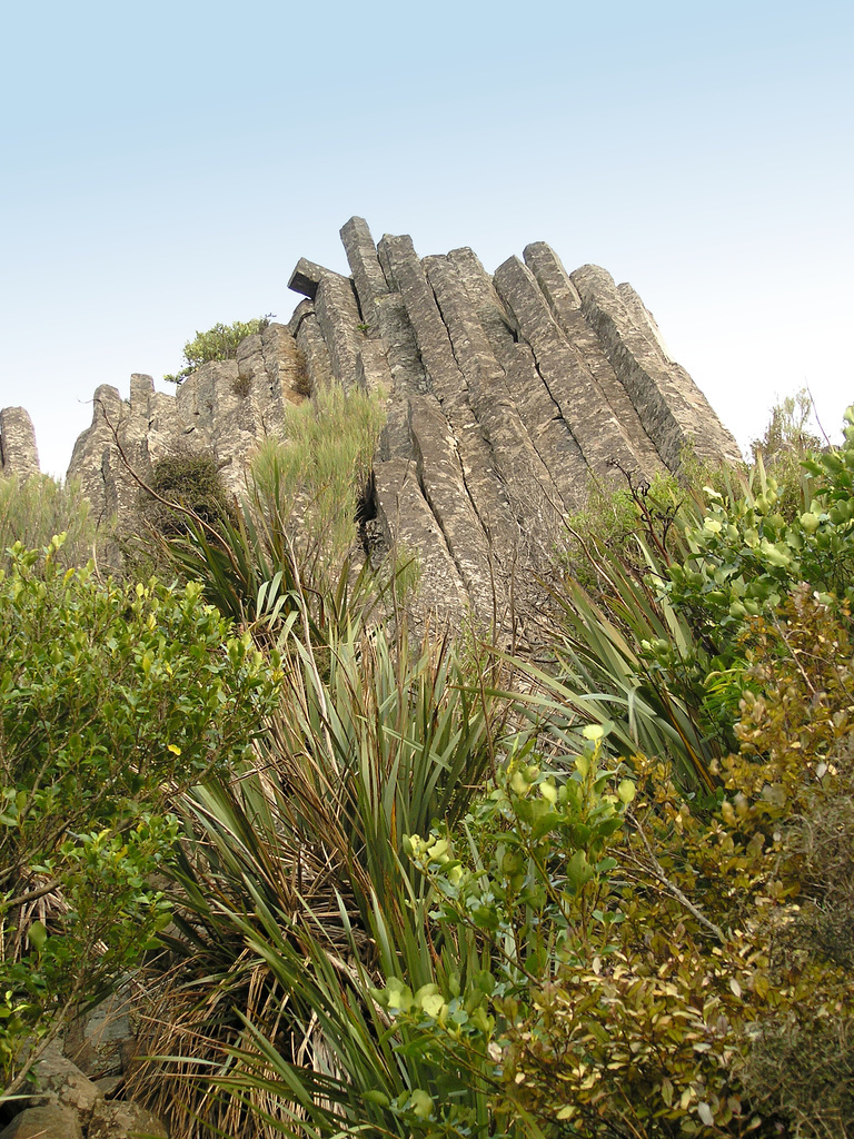 Basalt formation on the top of Mt. Holmes - Mount Cargill Scenic Reserve