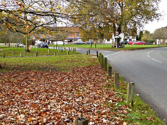 The Village Green at Elstead Surrey