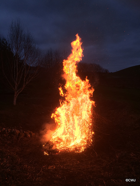New Year's Day Bonfire