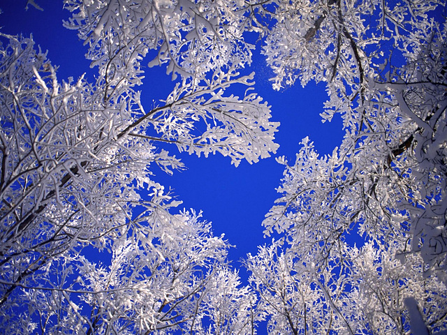 Verlaine : Le Ciel est par-dessus le toit____EXPLORE Verlaine : Le Ciel est par-dessus le toit____EXPLORE