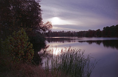 Dolan's Lake Sunset