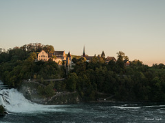 Schloss Laufen über dem Rheinfall  im Abendlicht