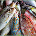Victoria : il pesce è l'alimento base di queste isole equatoriali
