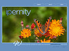 ipernity homepage with #1431